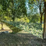 Abri Tarp camouflage pour activités en extérieur