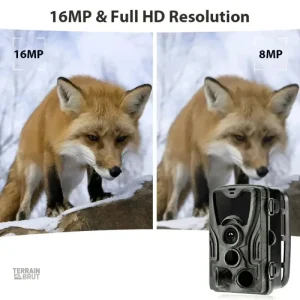 Caméra discrète avec vision nocturne pour la faune