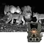 Appareil photo de chasse pour capturer des images de nuit