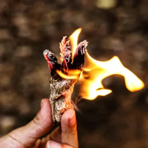 Corde en cire d'abeille pour équipement de survie