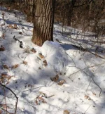 Tenue camouflage hivernale pour chasseur