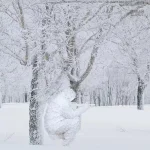 Ensemble camouflage hiver blanc en ghillie