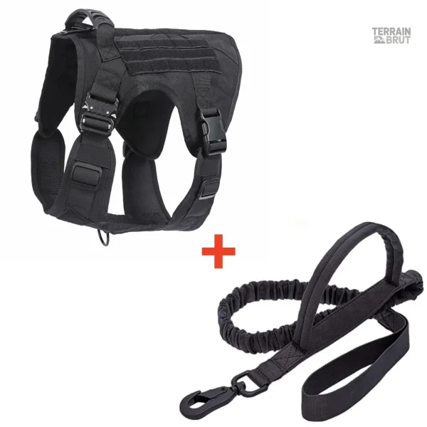 Gilet pour chien aventurier