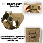 Gilet pour chien en extérieur