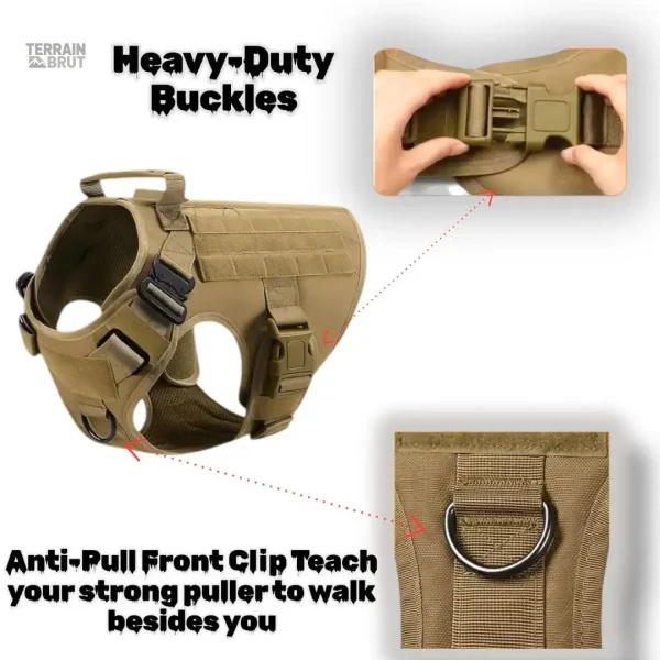 Gilet pour chien en extérieur