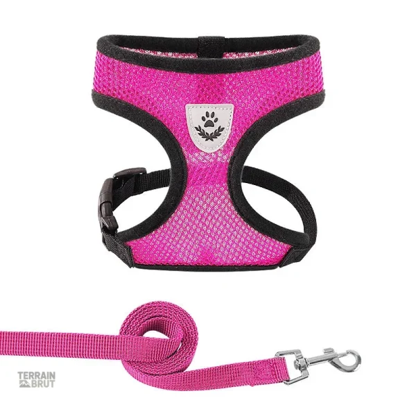 Harnais respirant pour chien, idéal pour les aventures