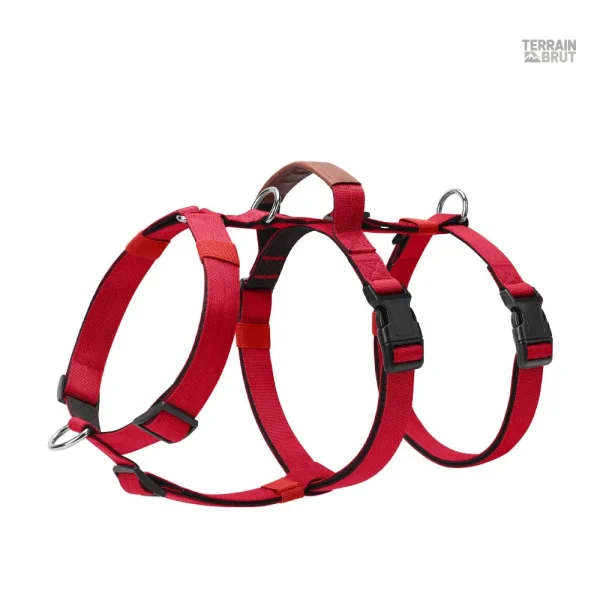 Harnais anti-fuite pour chien à contrôle 3 points