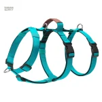 Harnais anti-fuite, idéal pour les aventures en extérieur