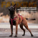 Harnais tactique avec 3 points de contrôle pour sécurité