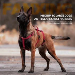 Harnais tactique avec 3 points de contrôle pour sécurité