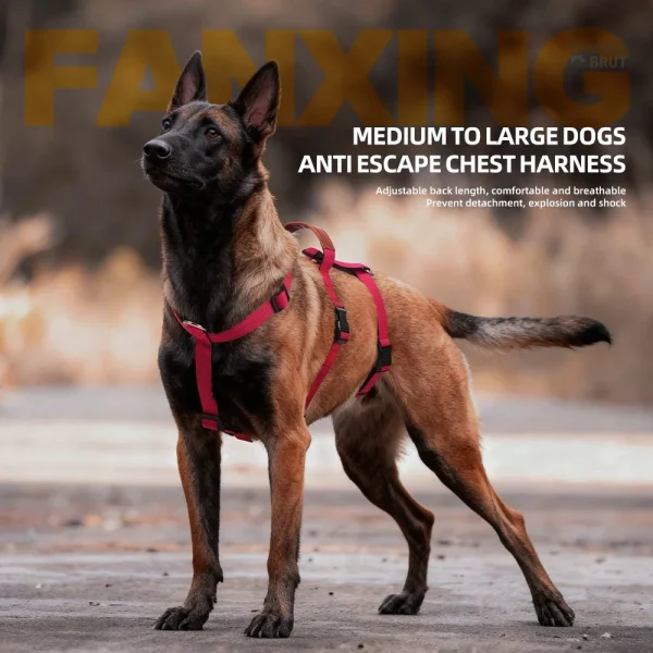 Harnais tactique avec 3 points de contrôle pour sécurité