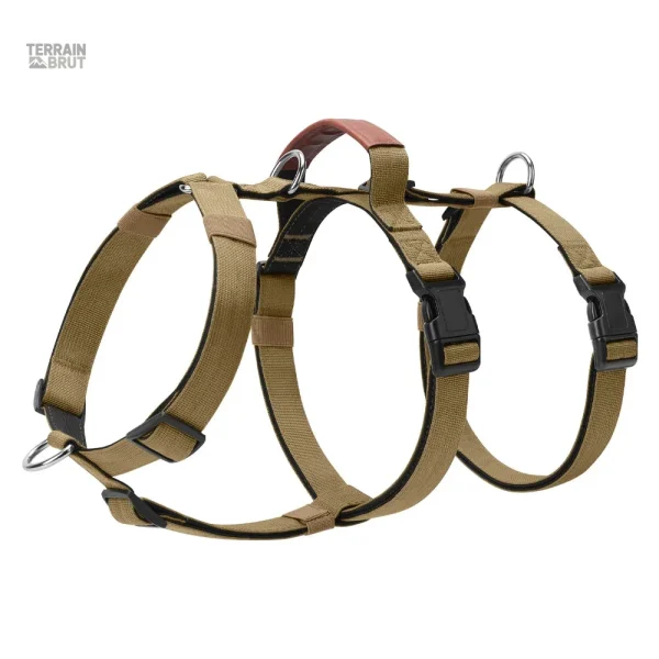 Harnais ajustable pour chiens, prévention de fuite