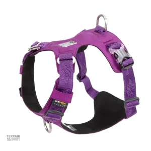 Harnais Tactique Léger, idéal pour les activités en extérieur