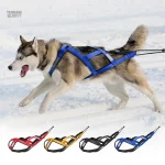 Accessoire de traîne pour chien, confort et sécurité