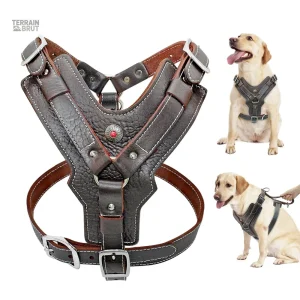 Harnais cuir grands chiens avec poignée