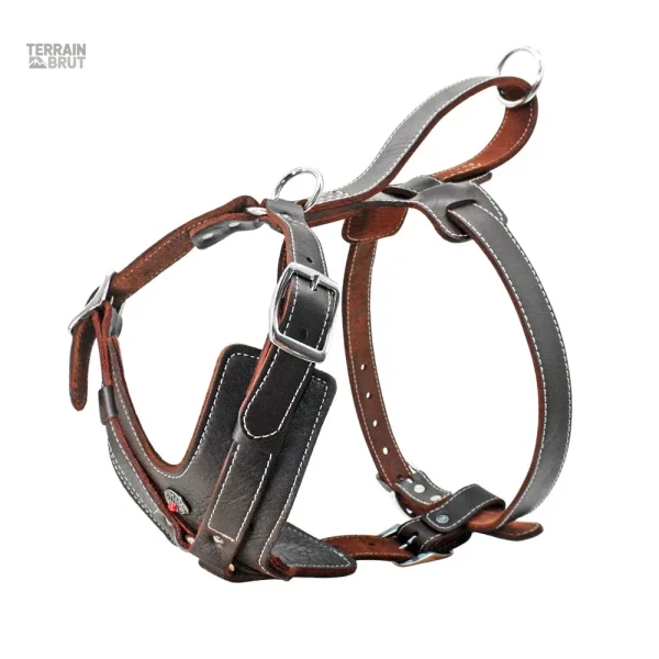 Harnais confortable pour grands chiens avec poignée de transport