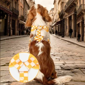 Harnais pour chien, design pratique et ergonomique
