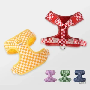 Équipement canin : harnais et laisse résistants