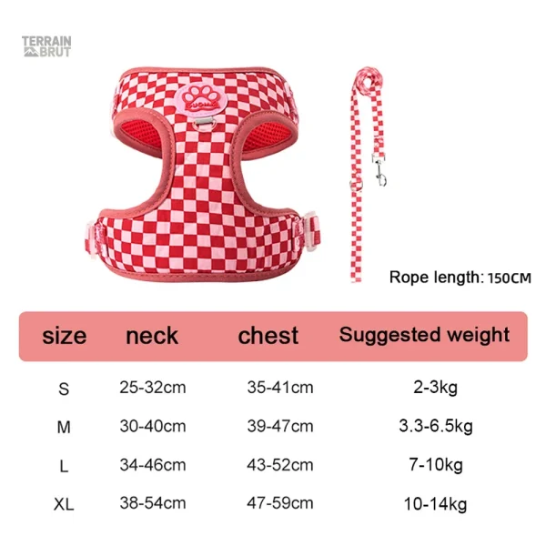 Laisse pour chien, longueur adaptable et pratique