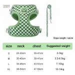 Laisse pour chien, idéale pour les aventures en extérieur