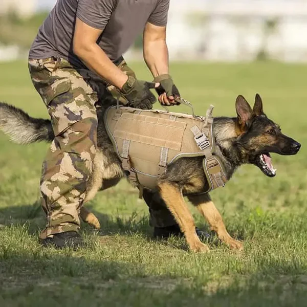 Harnais Militaire pour Chien de Travail