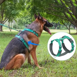 Harnais ajustable en nylon pour chien