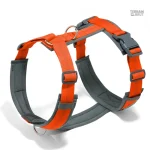 Harnais ajustable en nylon, parfait pour les aventures