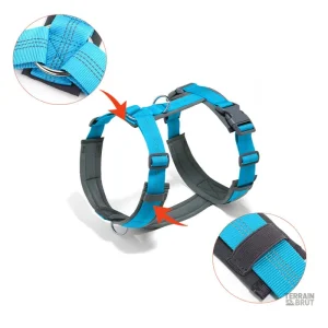 Harnais pour chien en nylon lavable et durable