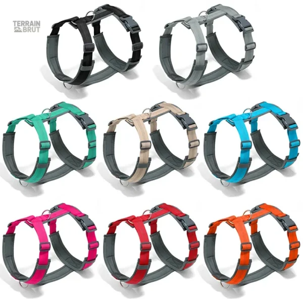 Harnais ajustable pour une meilleure sécurité canine