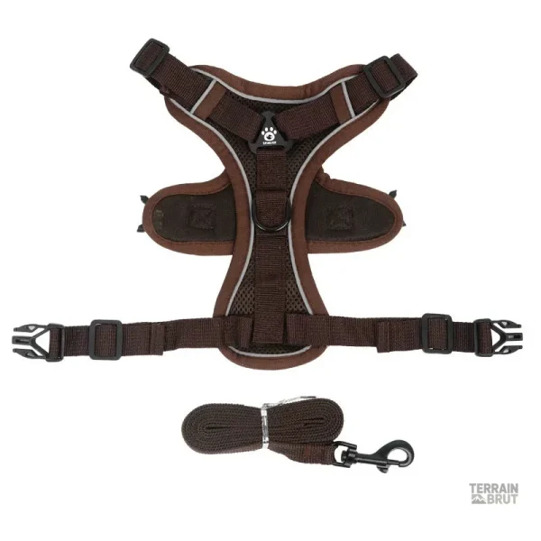 Laisse résistante intégrée au harnais pour chien