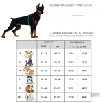 Harnais pour chien, design ergonomique