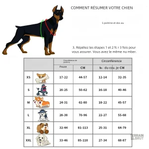 Harnais pour chien, design ergonomique