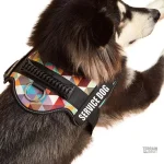 Harnais de service, ajustable et confortable