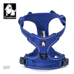 Harnais nylon pour promenades en extérieur