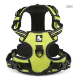 Harnais multifonction en nylon pour chien