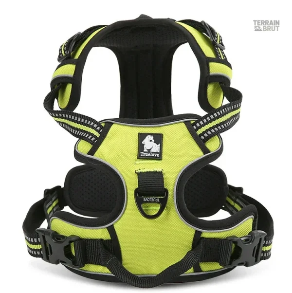 Harnais multifonction en nylon pour chien