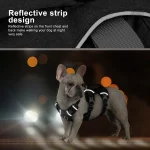 Harnais nylon durable pour canins