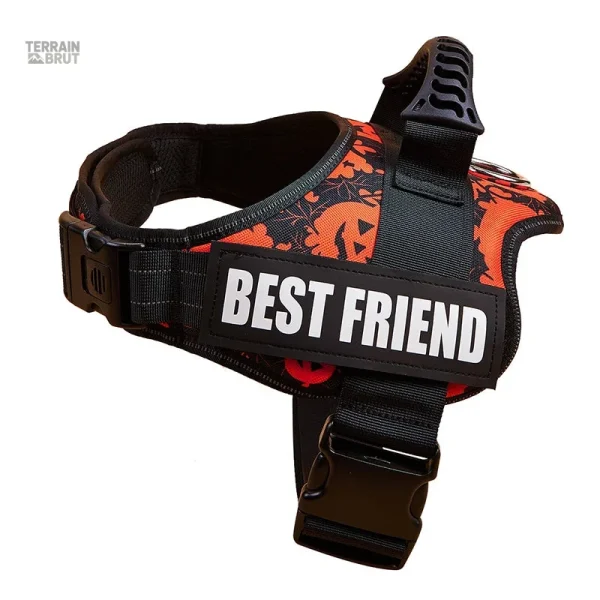 Harnais de randonnée pour chien avec patches