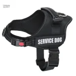 Harnais résistant pour chiens actifs