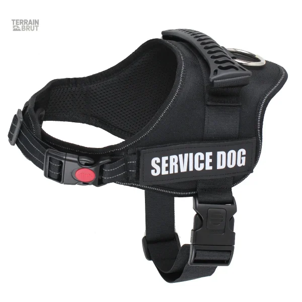 Harnais résistant pour chiens actifs