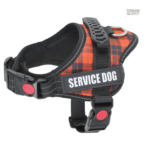 Harnais sécuritaire pour promenades avec patches