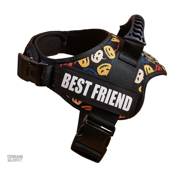 Harnais léger pour chien avec personnalisations