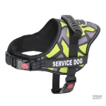 Harnais pratique pour chiens à fort caractère