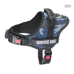 Harnais de sport pour chien avec patches