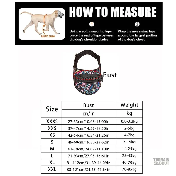 Harnais pratico-pratique pour chien