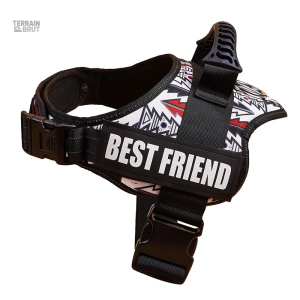 Harnais chien avec bandes personnalisables