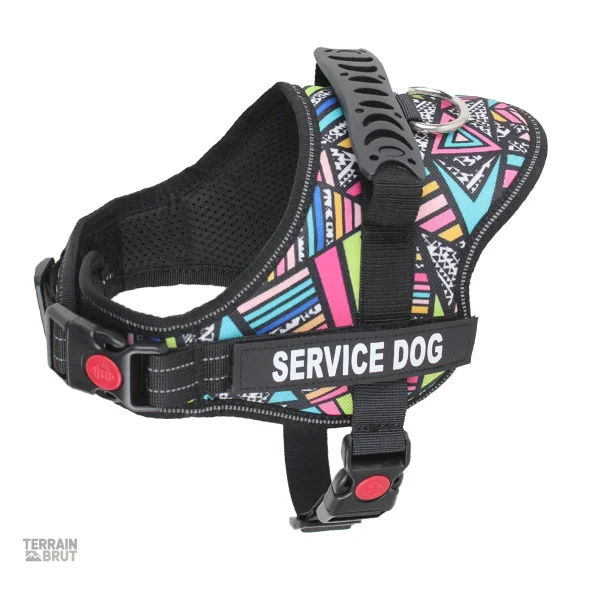 Harnais réglable pour activités extérieures