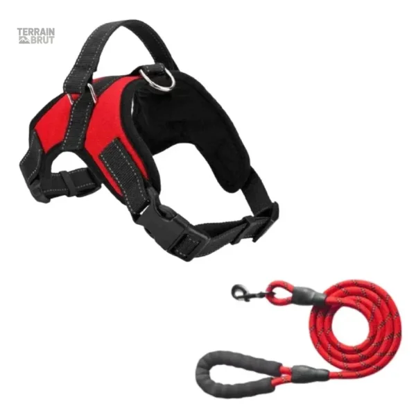 Harnais réfléchissant sans tirage pour chien - vue 2