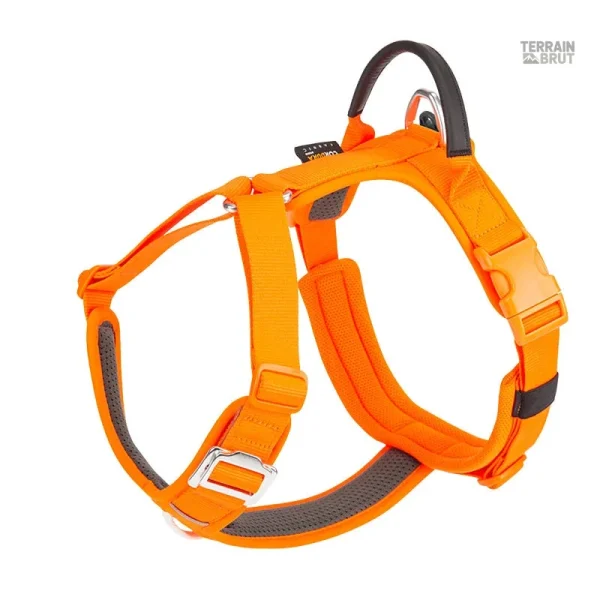 Harnais pour chien réfléchissant ajustable