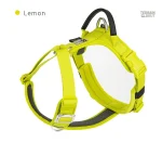 Harnais pratique pour les aventures avec chien